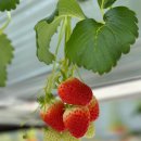 승림프라자 | 수도권 아이랑 가볼만한 곳 TOP 5｜봄 체험·실내놀이터·감성숙소 추천