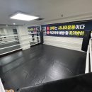 한샘프로복싱체육관 이미지