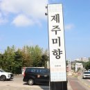 구문소 관광단지2 | 제주 중문관광단지 맛집 해물전골 갈치조림 두 마리 토끼 잡는 곳 제주미향 중문본점