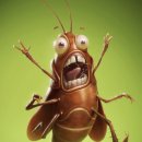 오라초등학교 병설유치원 이미지