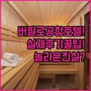 버팔로 | 버팔로 공항 호텔 실제 투숙객 후기가 알려주는 놀라운 진실