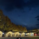 삼가어린이집 | [79th cAmping 221029] 경남 창녕 위더스 럭셔리글램핑