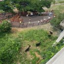 서호목장 이미지