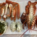 대구 달서구 월성동 맛집 신기동대게나라