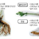 장생약국 이미지