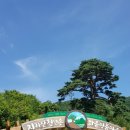 회생당약국 이미지