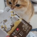 경기한펫 이미지