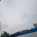 비 피아노 | 용인에서 송파 잠실 그랜드피아노 운반 후기
