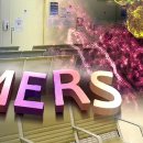 성모가정의원 이미지