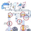 동양환경엔지니어링(주) 이미지