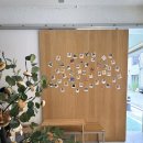 251-2-000036 | 신천러닝/대구앞산전망대 등산/대구베이글맛집 봉산동베이글작업실/대명동이자카야 일산/대구서부정류장...