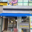 개밥주는고양이 이미지