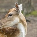 국민노래연습장 이미지