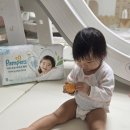 대도㈜ | 팸퍼스 신제품 기저귀 체험팩으로 만나본 후기