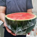 광주광역시 각화동농산물도매시장 소회의실 | 광주 각화동 농산물도매시장 192번 수박 꿀맛!!