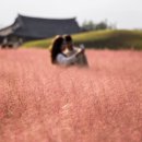 제주허브동산 이미지