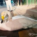 안산소방서(대부119안전센터)