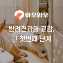 와우 동물병원 이미지