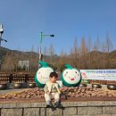 부산북구장애인협회 | 부산 북구 가볼만한 곳 화명수목원 미니동물원 입장료 무료