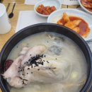 (주)지호/지호한방삼계탕하남직영점 | 🍲 하남 삼계탕 맛집 지호한방삼계탕 하남직영점, 초복 다음날에도 웨이팅! 건강삼계탕으로 든든한 몸보신