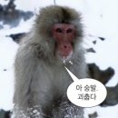 서희로82번길 | 2월은 갓생 산다 진짜로