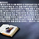 지금도 출판물을 가을 낙엽처럼 배포할수만 있다면 해야함 이미지