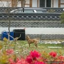 [덕포진] 김포 당일치기 가볼만한곳 경기도 둘레길 국내여행 평화누리길 산책 입장료X 무료주차O