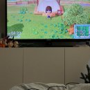 드림디포 광화문점 | 오늘까지