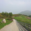 양양목장 이미지