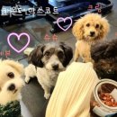 K7휘트니스 이미지