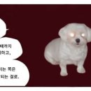 금문도