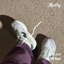 바이오쥬얼리 | 최근의 소비:뉴발란스 레벨V5러닝화, 아이허브 영양제, 테무 벨트