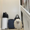 뚠뚜니상회 | [뉴욕 1일차] 서클라인 랜드마크 크루즈, 하이라인 파크&첼시마켓, 한인타운 (종로상회, take31)