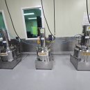 완도약산흑염소 이미지