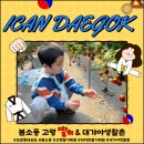 I CAN 대곡 태권도장 | 도원동태권도 아이캔대곡 봄소풍🌸/딸기체험부터 피자까지 아이들 대만족!🍓🍕