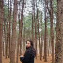 서리산농장 이미지