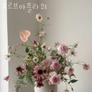 오르브아