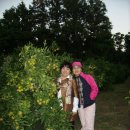 미라농장 이미지