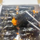 늘솜꼬마김밥