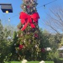 힐링 펫 카페 이미지