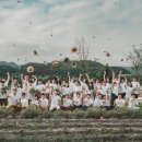 농업회사법인 주식회사 미래 이미지