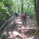 매산목장 이미지