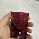 도서출판사다 | 낭만출판사 카드도서 후기 혼끄 산문집