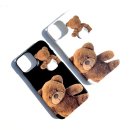 아기곰스튜디오 이미지