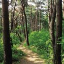 백제가요정읍사오솔길(2코스 내장호 수변데크) 이미지