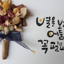 라이프소스 이미지