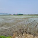 사비농장 이미지