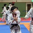 BEST태권도장 이미지