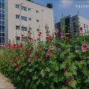 구성노인전문요양원 | 용인요양원 구성노인전문요양원 행복한 동행 약속