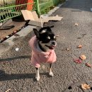 노암세차장 이미지